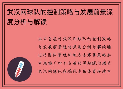 武汉网球队的控制策略与发展前景深度分析与解读